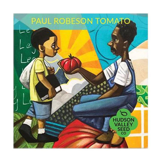 Paul Robeson Tomato Art Pack (Organic)