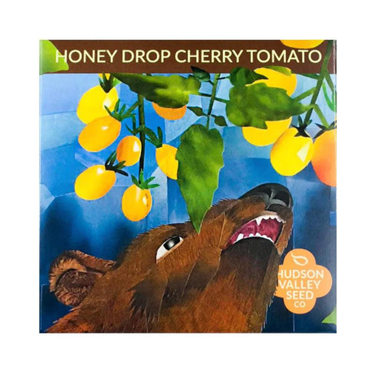 Honey Drop Cherry Tomato Art Pack (Organic)
