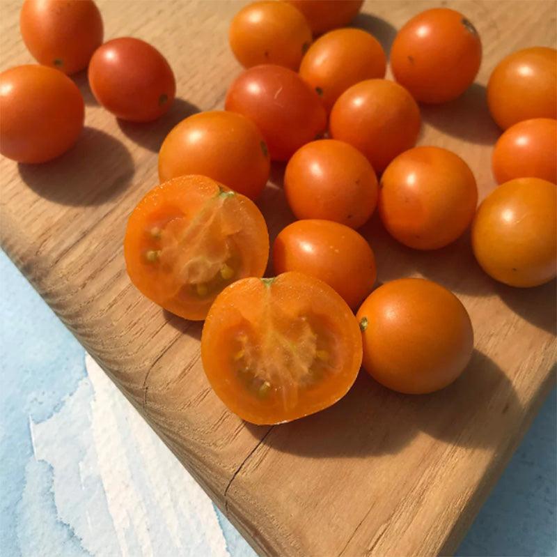 Honey Drop Cherry Tomato Art Pack (Organic)