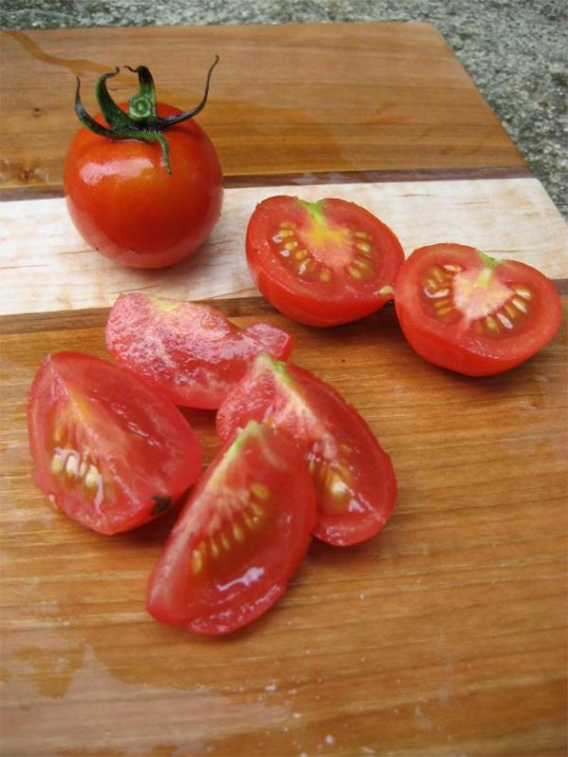 Fox Cherry Tomato Art Pack (Organic)