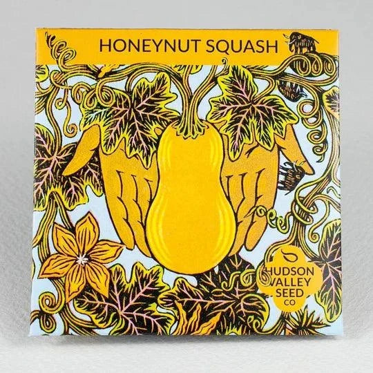 Organic Honeynut Squash