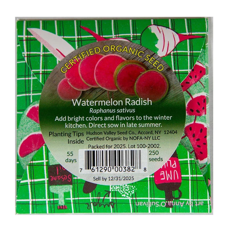 Organic Watermelon Radish Art Pack