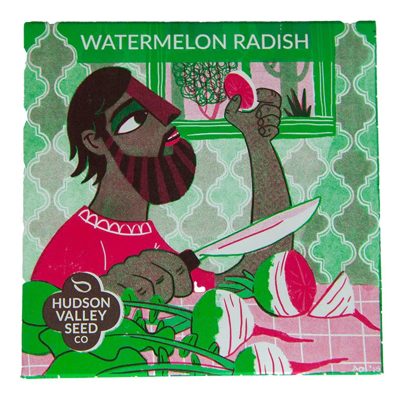 Organic Watermelon Radish Art Pack