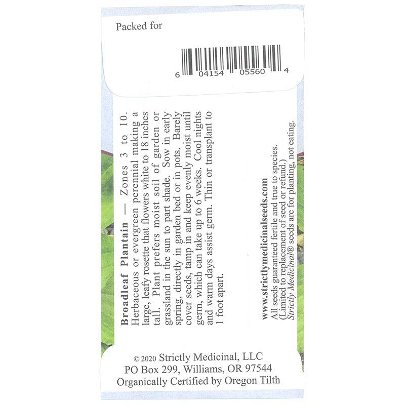 Plantain Broadleaf Seeds (Organic)