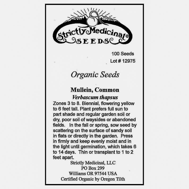 Mullein Seeds (Organic)