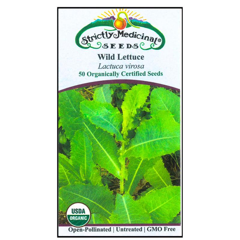Wild Lettuce Seeds (Organic)