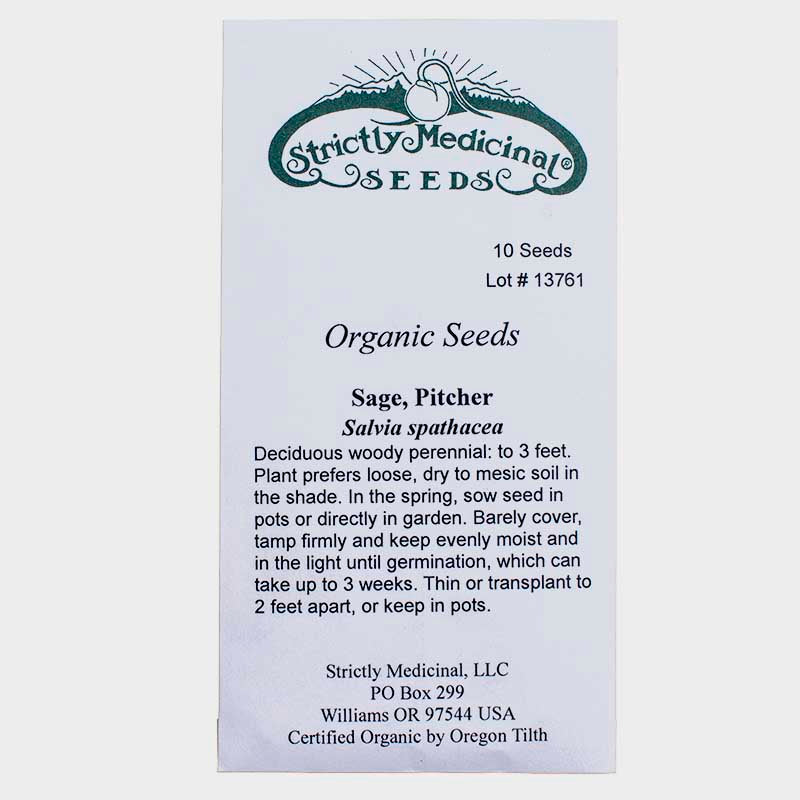 Pitcher Sage Seeds (Organic)