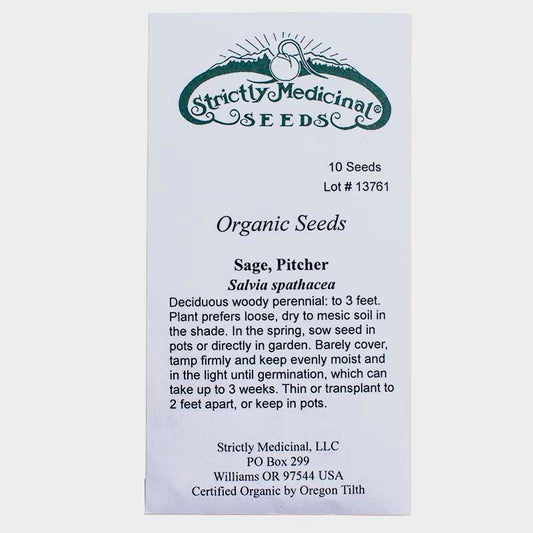 Pitcher Sage Seeds (Organic)