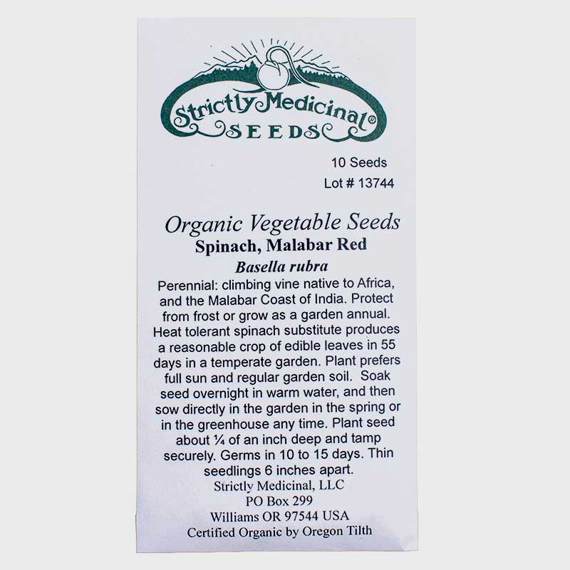 Malabar Spinach Seeds (Organic)
