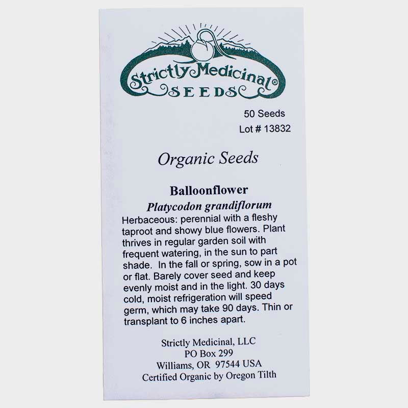 Balloonflower Seeds (Organic)