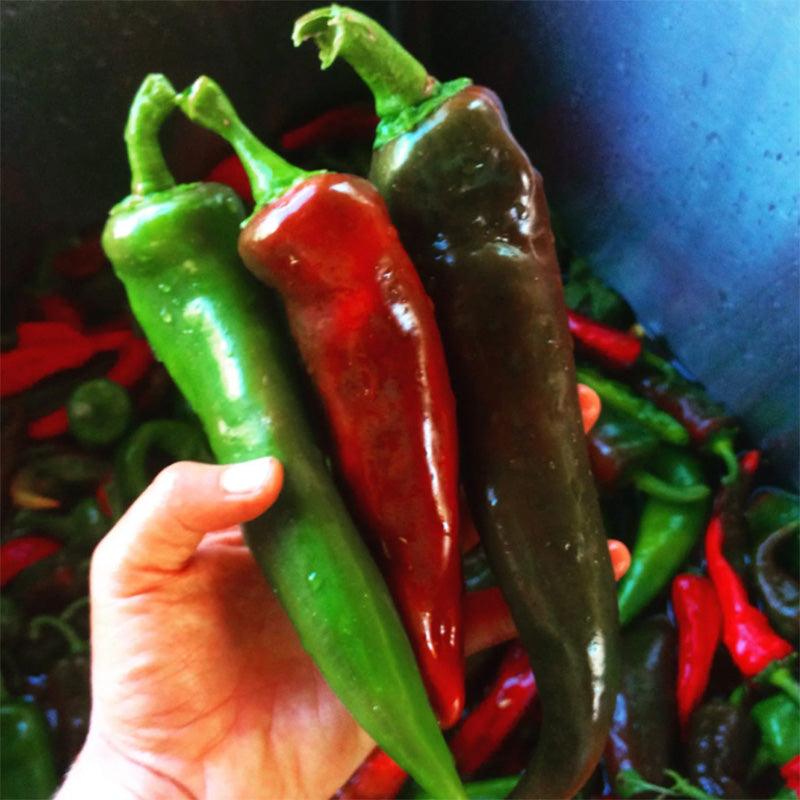 Mosco Chile Hot Roasting Pepper Seeds