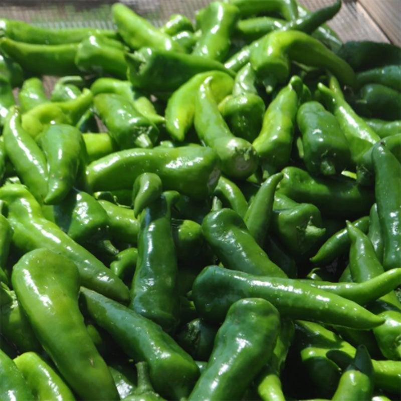 Mosco Chile Hot Roasting Pepper Seeds
