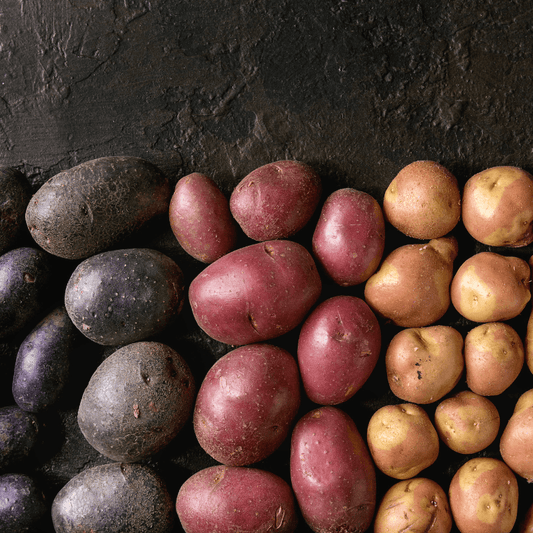 Collection: Organic Seed Potatoes