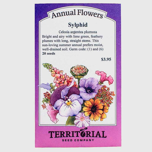 Sylphid Celosia Seeds