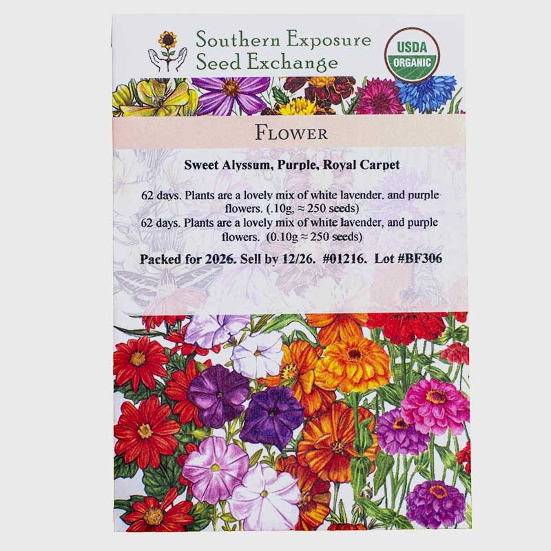 Organic Sweet Alyssum, Purple, Royal Carpet Seeds