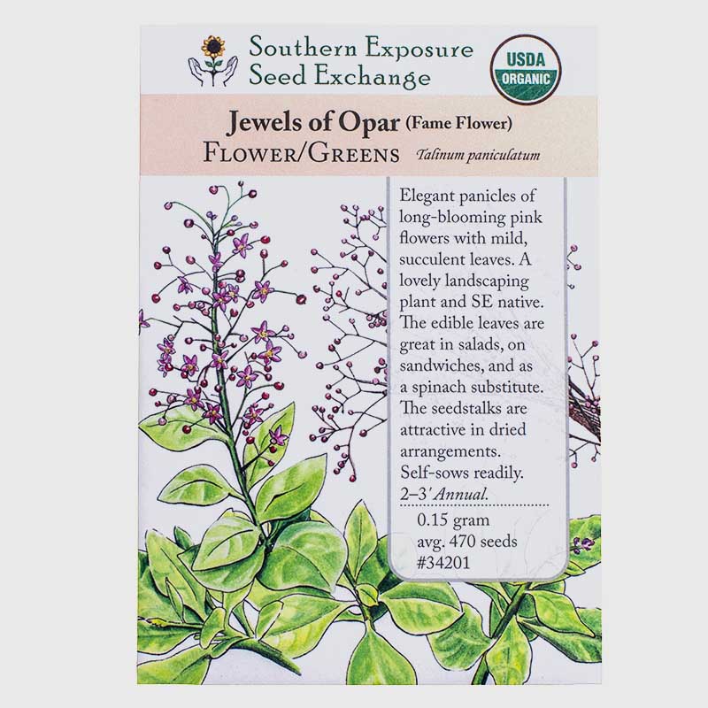 Organic Jewels of Opar - Fame Flower Seeds