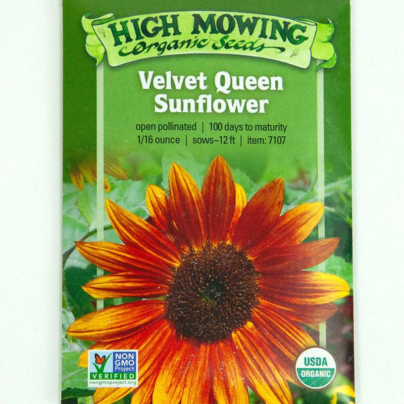 Velvet Queen Sunflower Seeds (Organic)