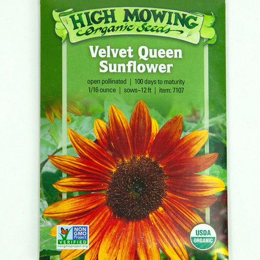 Velvet Queen Sunflower Seeds (Organic)