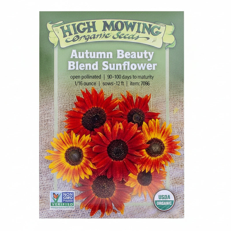 Summer of Sunflowers 3 Seeds Packets (Organic)