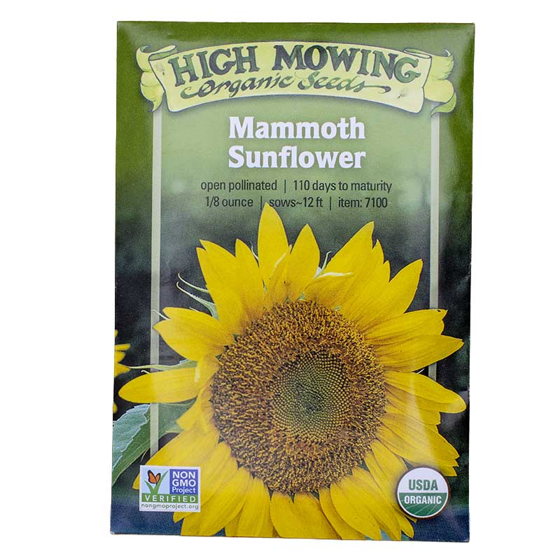 Summer of Sunflowers 3 Seeds Packets (Organic)