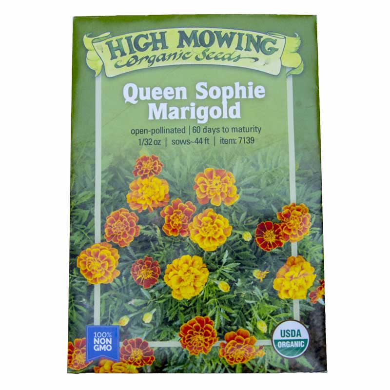 Queen Sophie Marigold Seeds (Organic)