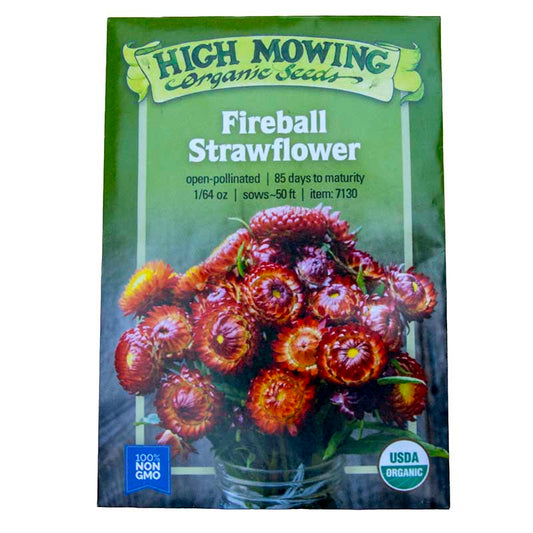 Fireball Strawflower Seeds (Organic)
