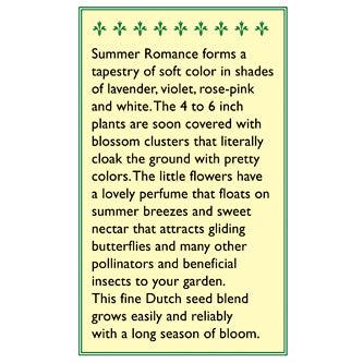 Summer Romance Alyssum Flower Seed Mix