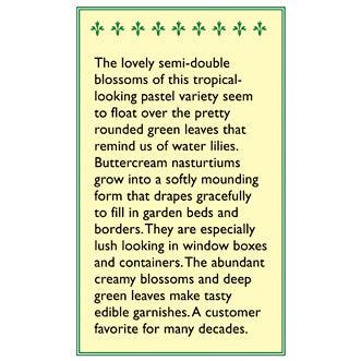 Buttercream Mounding Nasturtium Flower Seeds