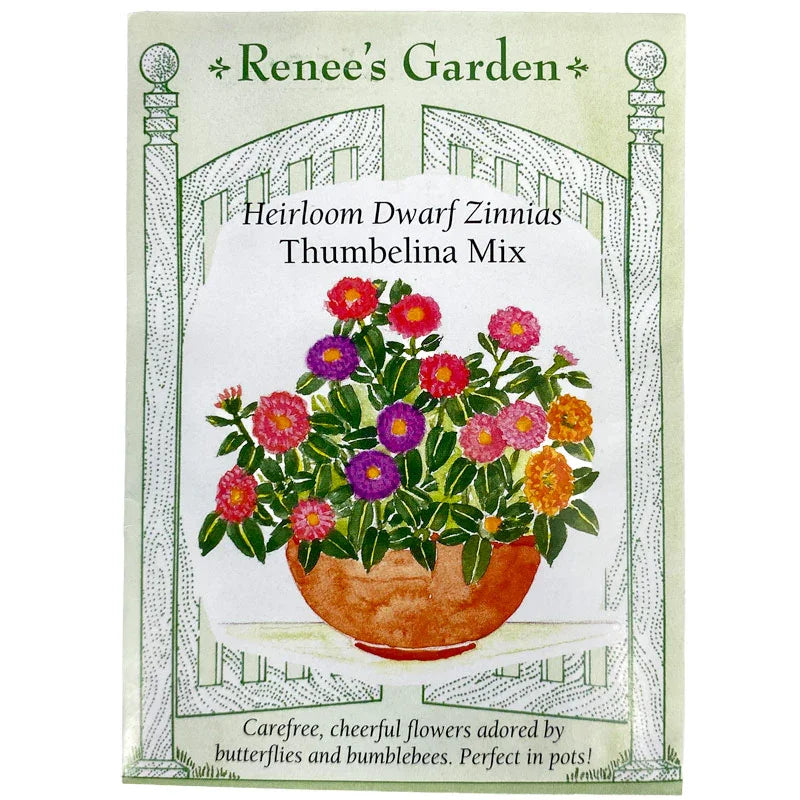 Organic Thumbelina Mix Zinnia