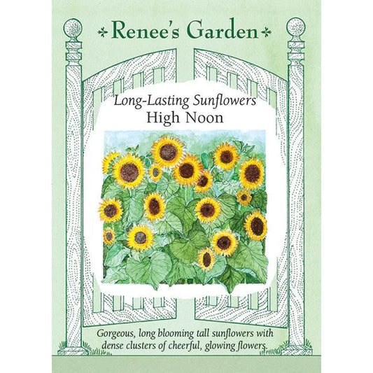 Long-Lasting Sunflowers, High Noon