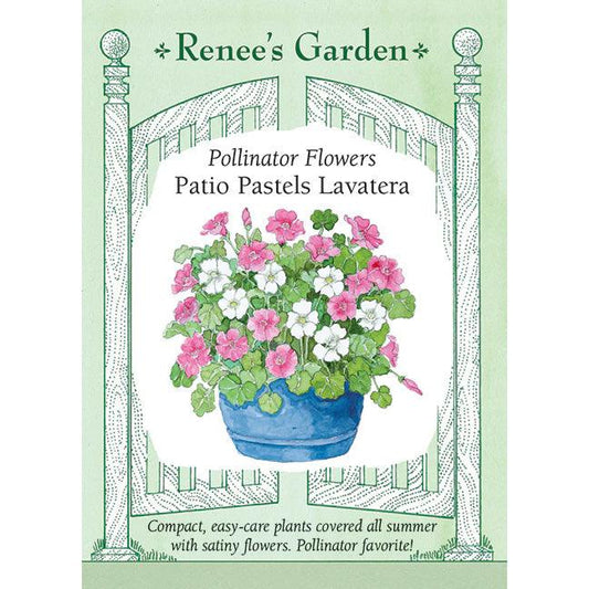Patio Pastels Lavatera