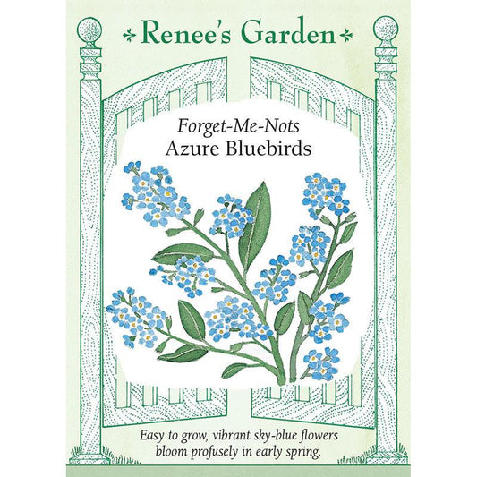 Forget-Me-Not Azure Bluebirds