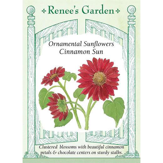 Cinnamon Sun Sunflower