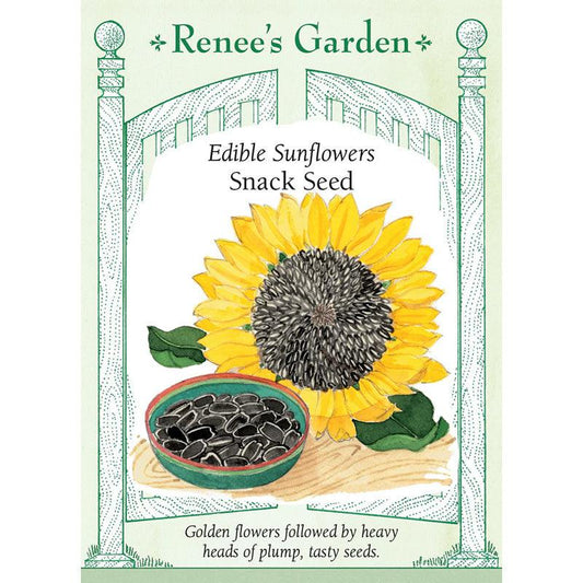 Sunflower Snack Seeds
