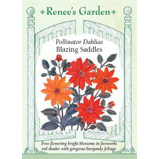 Blazing Saddles Dahlia