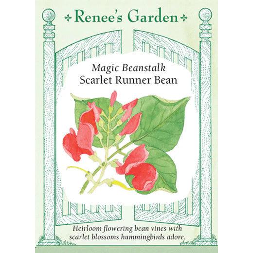 Magic Beanstalk Runner Bean Seeds