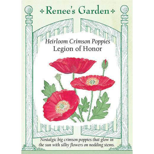 Shirley Legion of Honor Poppy