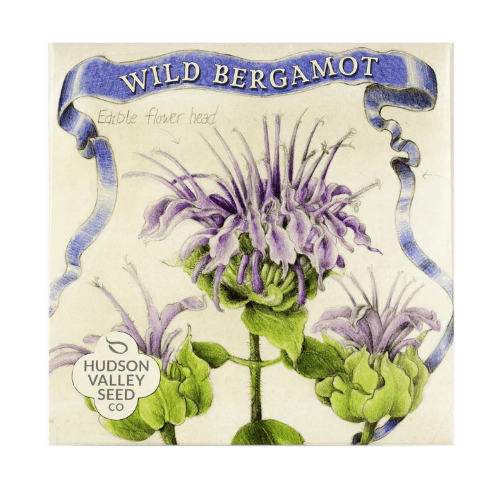 Wild Bergamot Art Pack
