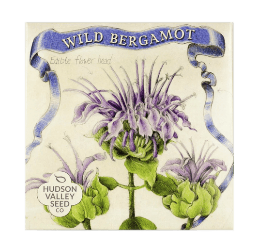 Wild Bergamot Art Pack