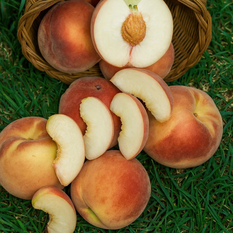 California Peach, 3 on 1 Multi Grafted Fruit Tree
