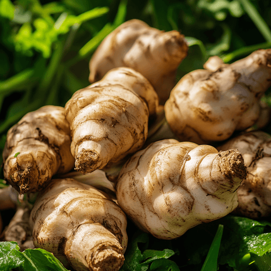 Organic Jerusalem Artichoke (2 lb)