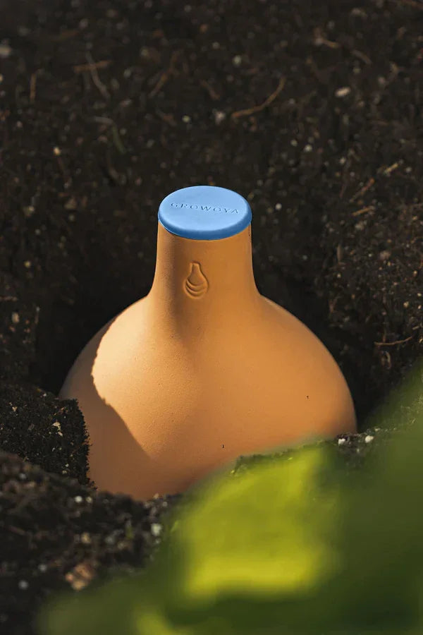 Growoya Oya Watering Pot