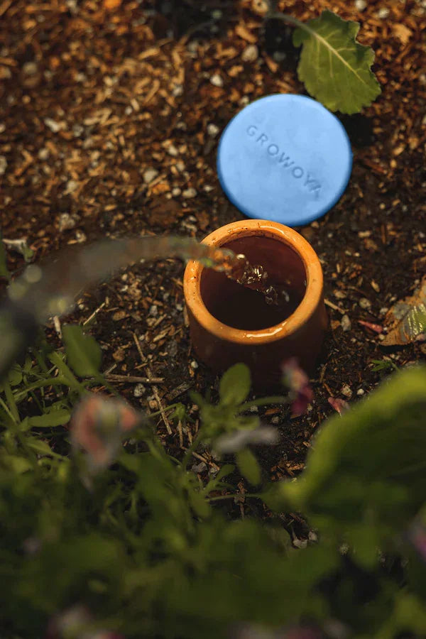 Growoya Oya Watering Pot