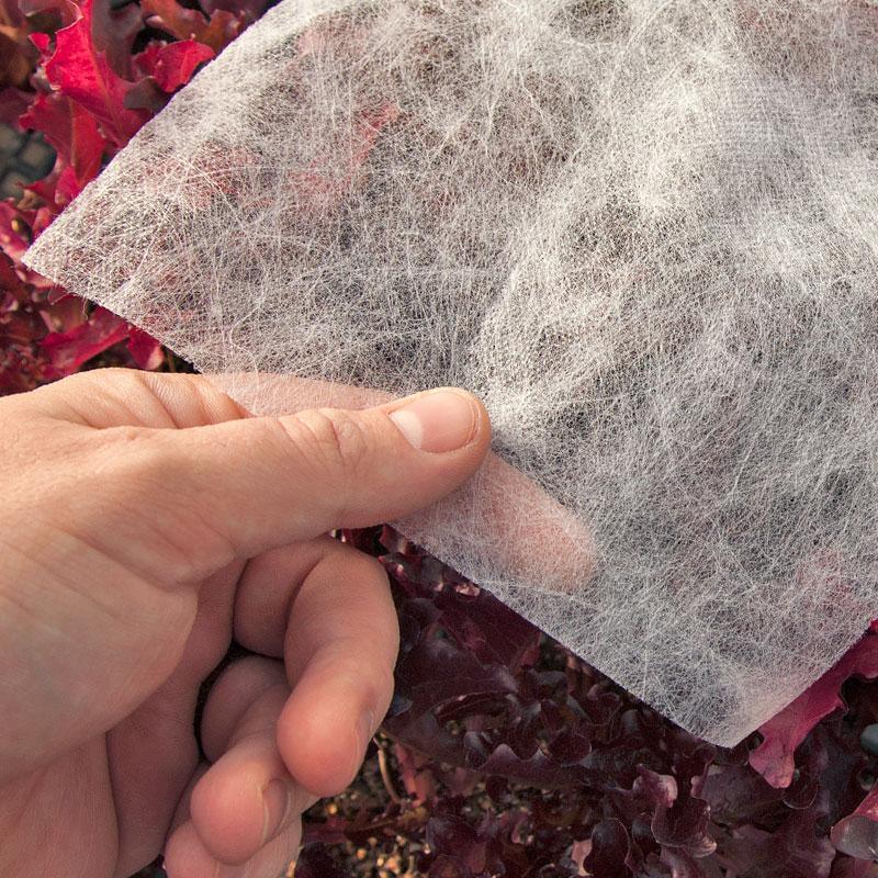 Agribon AG-15 Insect Barrier (10' X 50')