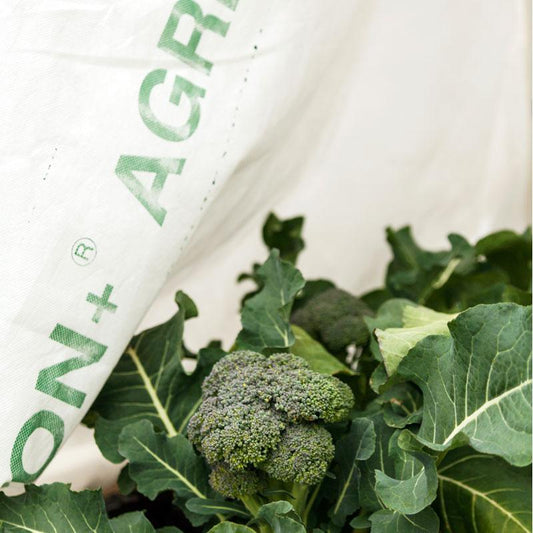 Agribon AG-19 Floating Row Cover (45' X 1000')