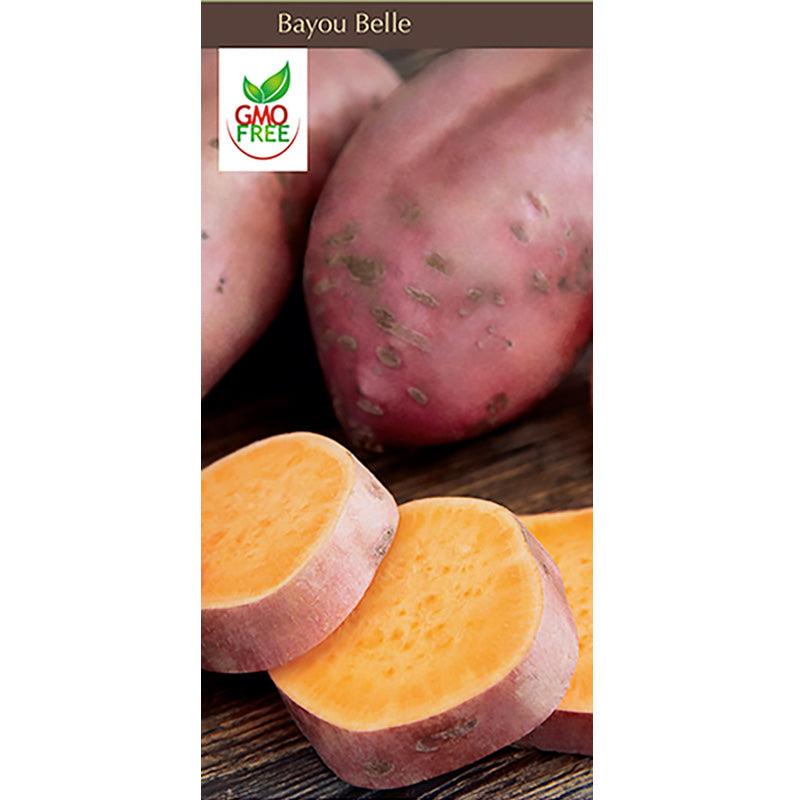 Bayou Belle Sweet Potato