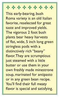 Roma Improved Bush Bean Seeds