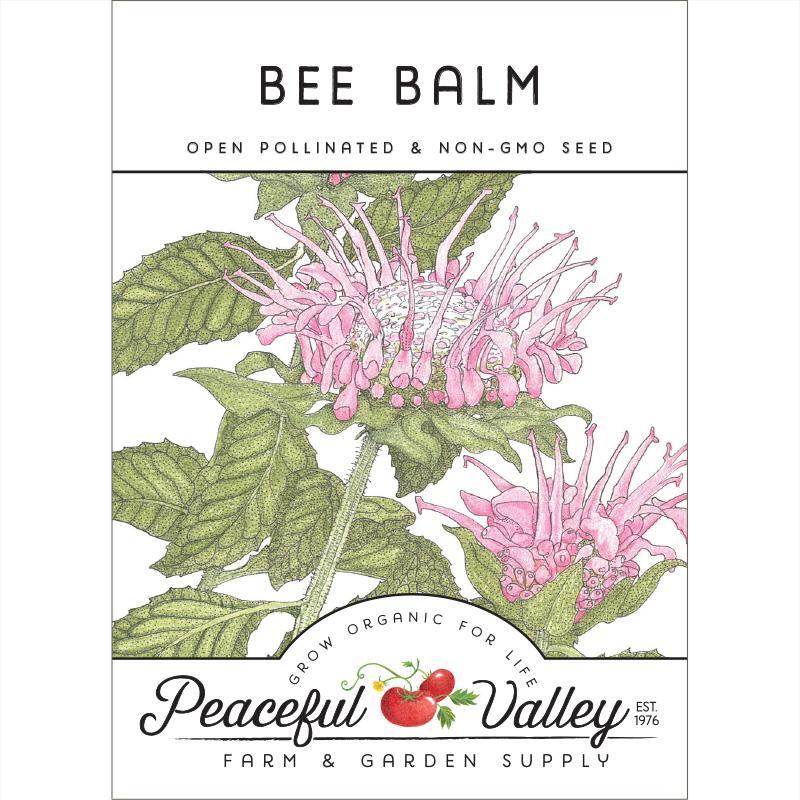 Bee Balm