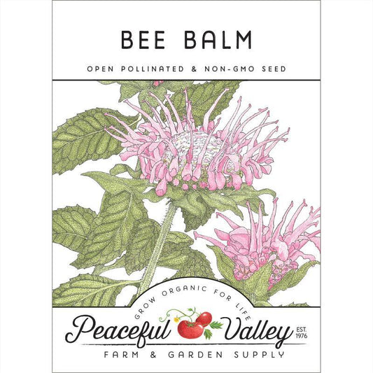 Bee Balm