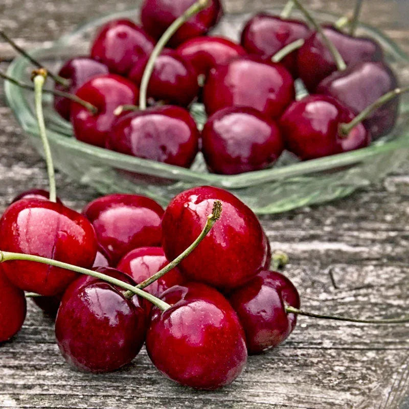 Craig's Crimson Cherry Tree